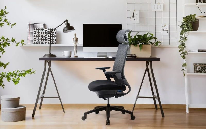 các tiêu chí lựa chọn được ghế công thái học
